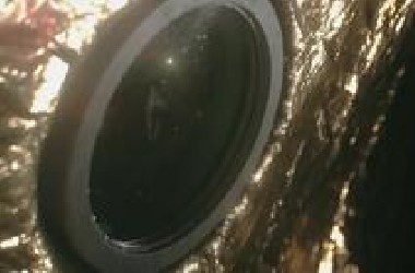 卡西尼航天器坠入土星时看到的景象令人震惊【2】