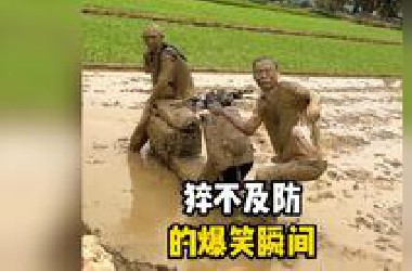 猝不及防的爆笑瞬间，第一次听树叫！