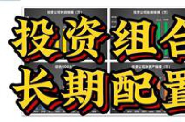 股票投资组合和长期配置