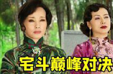 权谋对决宅斗神剧《女人何苦为难女人》！刘晓庆、田丽两位大女主精彩博弈~