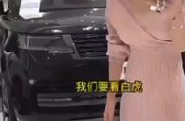 审核说再发这种东西就找人整死我（补档）