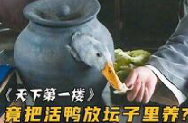 《天下第一楼》黑心老板为让鸭子多长两斤肉，竟把活鸭放坛子里养，结果损失惨重，你看过吗？