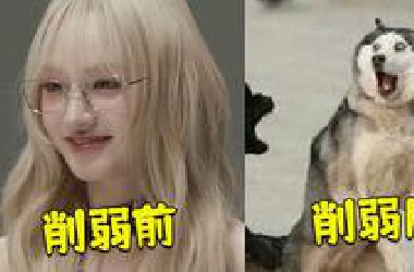 游戏史上最离谱的削弱！魅魔居然能被削成狗？