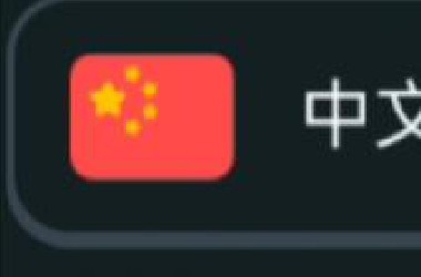 《当 你 用 多 邻 国 学 习 中 文》