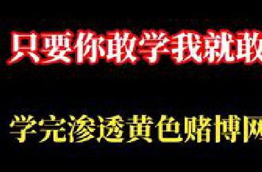 【判刑率99.9】只要你敢学我就敢教，学完渗透黄色赌博网站，从入门到入狱！学不会我退出网络安全圈
