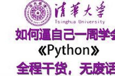 【整整600集】2025最全最细自学Python全套教程，逼自己一周学完，从零基础小白到精通Python全栈只要这套就够了！全程干货！包含爬虫+数据分析教程！
