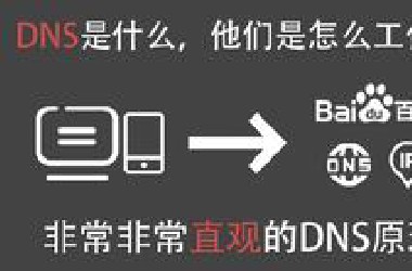 超直观的DNS科普，一个视频搞懂DNS是啥，是怎么运作的