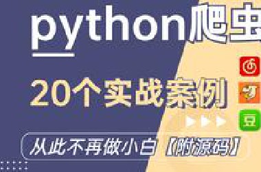【python】20个爬虫案例 学会这些从此不再做小白-毕业设计  入职简历 手把手带你完成20个项目（附源码）