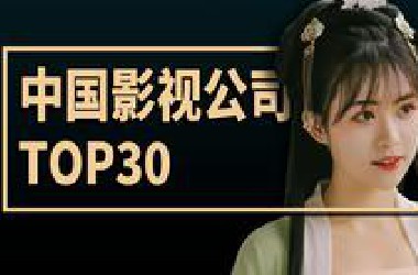 中国影视公司TOP 30
