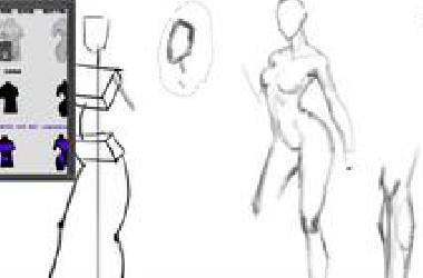 【男女躯干的结构】人体结构系列教程