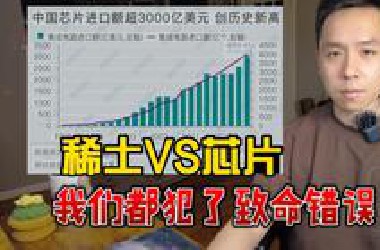 稀土vs芯片，我们都犯了同样的错误