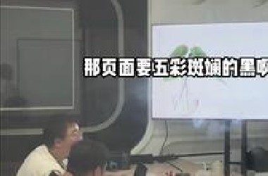 这就是你以为的程序员日常......