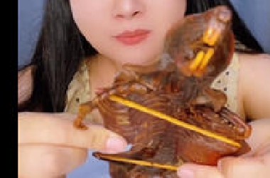 《  暗  网  异  食  癖  》
