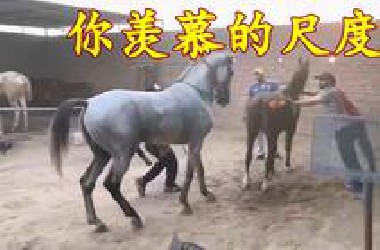 你羡慕的尺度
