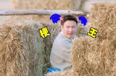喜剧人录综艺个个都是梗王~~这些人怎么能这么有梗~