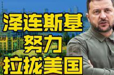 泽连斯基的努力