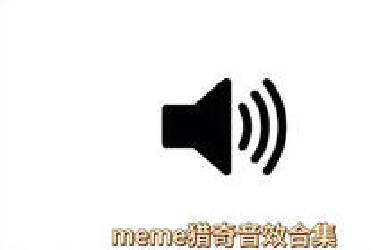 100 种meme猎奇音效合集