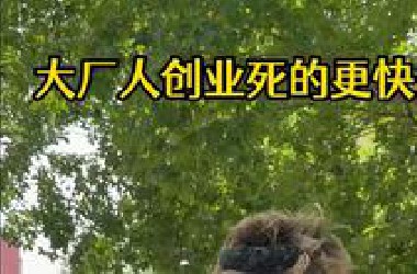 大厂人创业死的更快？