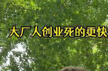 阿里出来的人我都不要