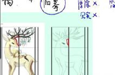 【板绘教程】绘画中的结构与临摹