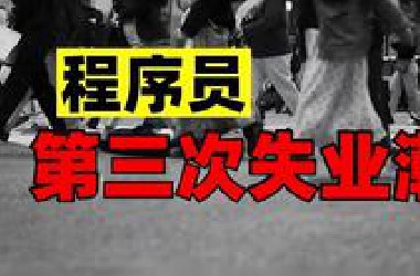 第三次失业潮后，IT行业已是夕阳产业，未来3-5年程序员该何去何从？