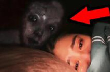 没有人敢在深夜独自观看的影片，五个深夜猎奇鬼故事！