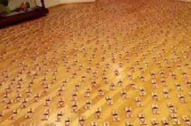 男子家中发现老鼠，一怒之下放1000个老鼠夹，场面直接失控了