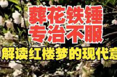 “芒种节，夏花落”详解黛玉葬花，反自然现象的背后是《红楼梦》被误读百年的真实原因