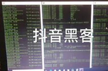 抖 音 黑 客vs真正的黑客