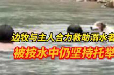 “它比我还快”！边牧与主人合力救助溺水者，主人：救人后它很开心，一直在笑