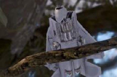 假如飞机是一群鸟……【WVW】