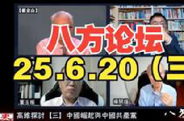 沈逸 八方论坛 切片 25.6.21（三）