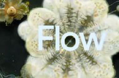 Google AI影视全家桶FLOW教程！VEO3直接生成对话场景！炸翻天了！