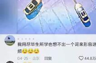 一瞬间不知道该用什么词去形容这个视频了