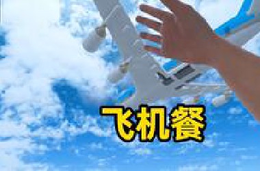 飞机上竟然没有汉堡嗝儿