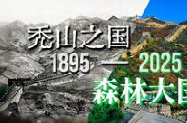 100年，中国如何从“秃山之国”变身“森林大国”？