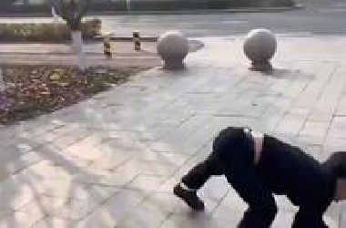 让人笑到岔气的视频