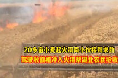 20多亩小麦起火 河南农机手收到求助，开着收割机冲入火海帮湖北农民抢收，“我家也是种地的 看见了很心疼”