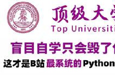 【整整600集】顶级大学196小时讲完的Python教程（数据分析）全程干货无废话！学完变大佬！这还学不会，我退出IT圈！