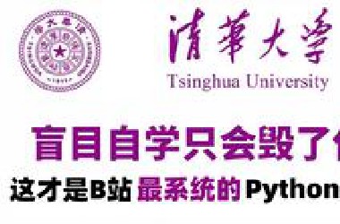 【整整600集】清华大学196小时讲完的Python教程（数据分析）零基础入门到精通全套教程，全程干货无废话！这还学不会，我退出IT圈！数据挖掘/可视化/大数据