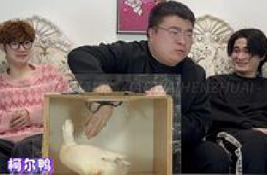 哈哈哈哈摸箱猜物