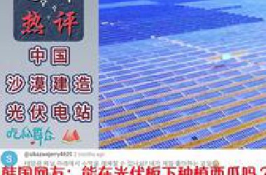国外热评：中国沙漠光伏电站，中东非洲网友沸腾了