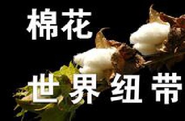 【棉花】从温暖到爆炸  创艺术承金钱 棉花是同时受到全世界的喜欢