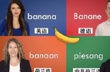 日耳曼语言大对比：德语、英语、荷兰语到底有多相似？