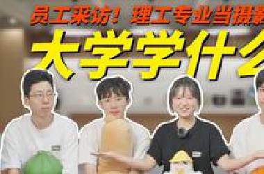 大学专业与工作真的有关吗？我采访了公司里的同事…