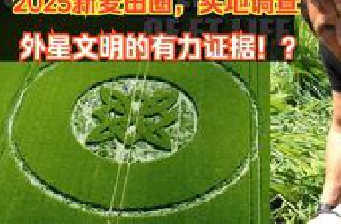 他亲赴现场，调查2025年英国的第一个麦田圈（20分之后的对话很精彩)