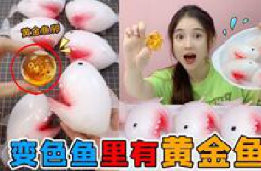 池塘里抓到“变色鱼”！肚子里还有黄金鱼卵，一颗就价值上万元？