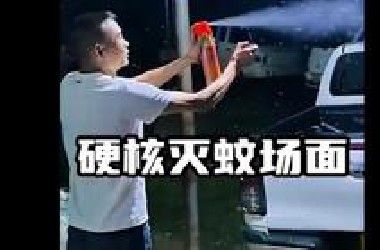 物理灭蚊名场面