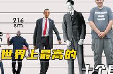 世界上最高的十个巨人，个个都比姚明高半头，最高的10岁都1米98