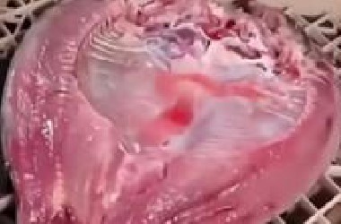 ⚡赶紧给我掰开⚡
